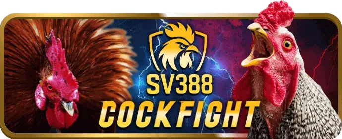 Ưu đãi đá gà 55pw