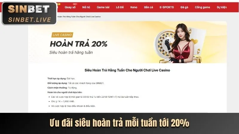 Các chương trình khuyến mãi và ưu đãi độc quyền tại 55PW